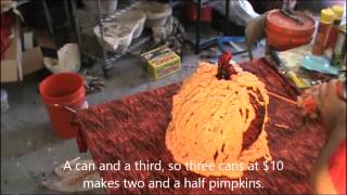 Information making a pumpkin Guide