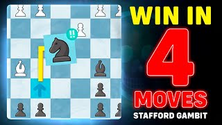 Stafford Gambit Destroys EVERYONE (Best Trap Opening)