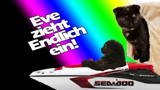 Eve zieht endlich ein!!! :-) Vorsicht! Explosive Süßigkeit! :-) screenshot 2