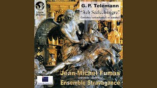 Trio Sonata in A Minor, TWV 42:a4: I. Largo