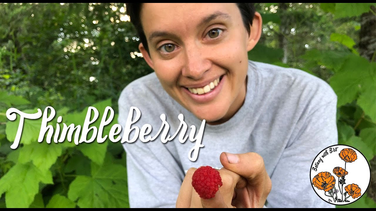 Thimbleberry (Ep 7) - Botany with Brit