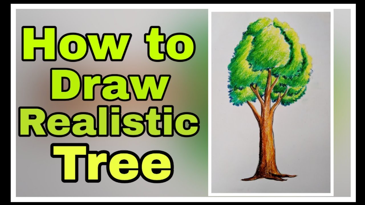 How to Draw a Tree for kids step by step. ( very easy drawing) - YouTube