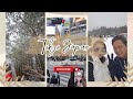 The Tokyo Experience 🇯🇵 | Travel Vlog