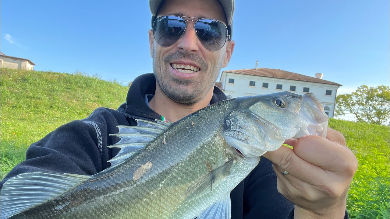 Spigole sul Livenza (ottobre 2023)