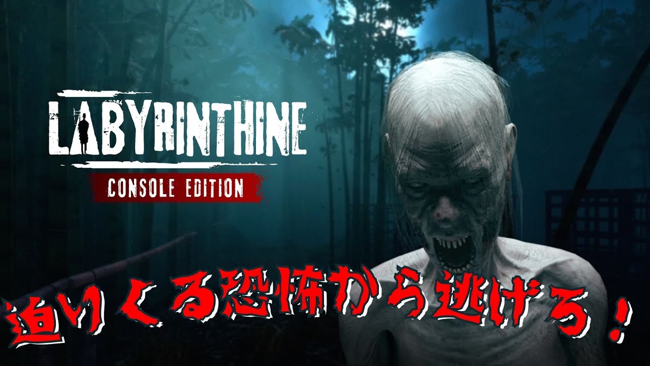 【Labyrinthine】 #3 七人で謎解きしながら脱出するホラーゲーム！【音量注意】