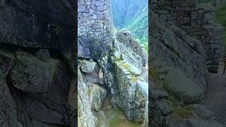 Vizcacha en Machu Picchu | Perú Vip 🇵🇪