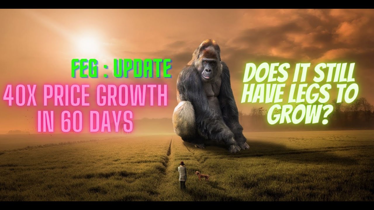 FEG update ! 40X in 60 days!