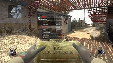 [BO1/1.13] Firehawk non Host Menu + Download