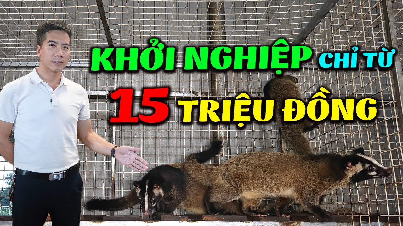 Khởi Nghiệp Chăn Nuôi Chồn Mốc chỉ từ 15 Triệu | Hỗ Trợ Con Giống và ...