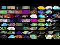 Youtube Thumbnail THE EPICNESS OF FLIPPY x64