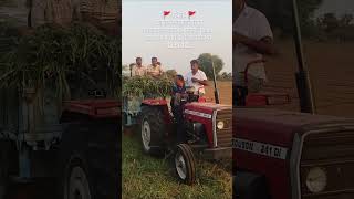 #lifeisbutadream #cow #farming #farmer #automobile #bull #comedy #agriculture
