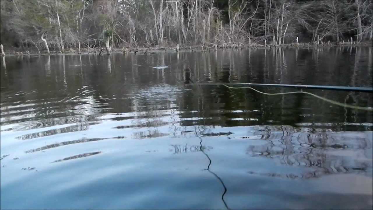Deer Hair Flies on Lake Springfield