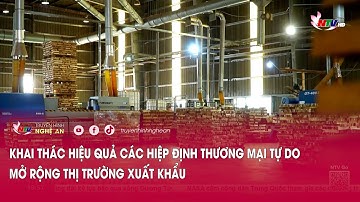 Khai thác hiệu quả các hiệp định thương mại tự do, mở rộng thị trường xuất khẩu