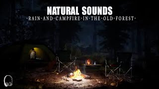 Solo camping- Rainy atmosphere and campfire in the forest at night