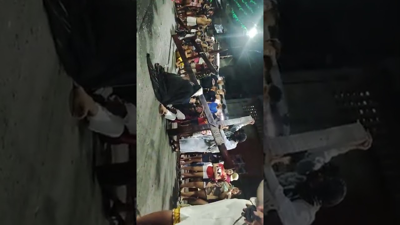 ROTHC Station 6- Veronica