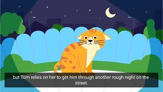 Drs Gemma Ma and Brooke Kennedy - Keeping Cats Safe at Home