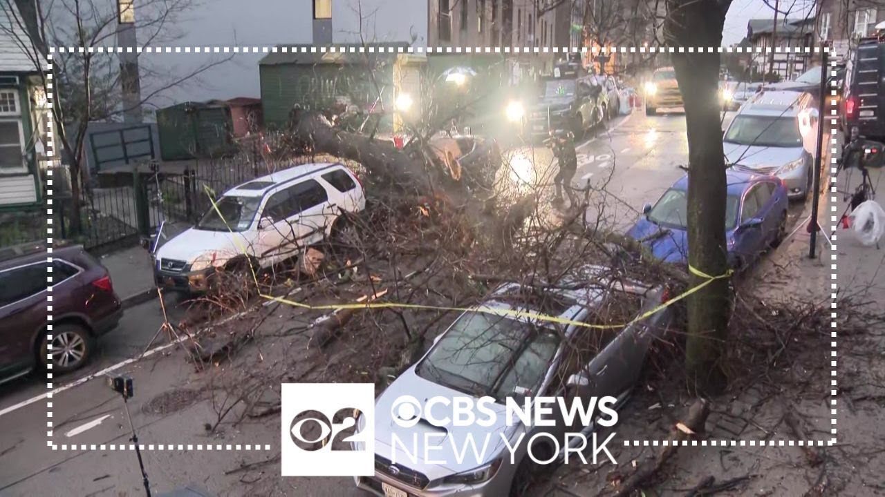 Cleanup from Wednesday's storm continues across NYC - YouTube