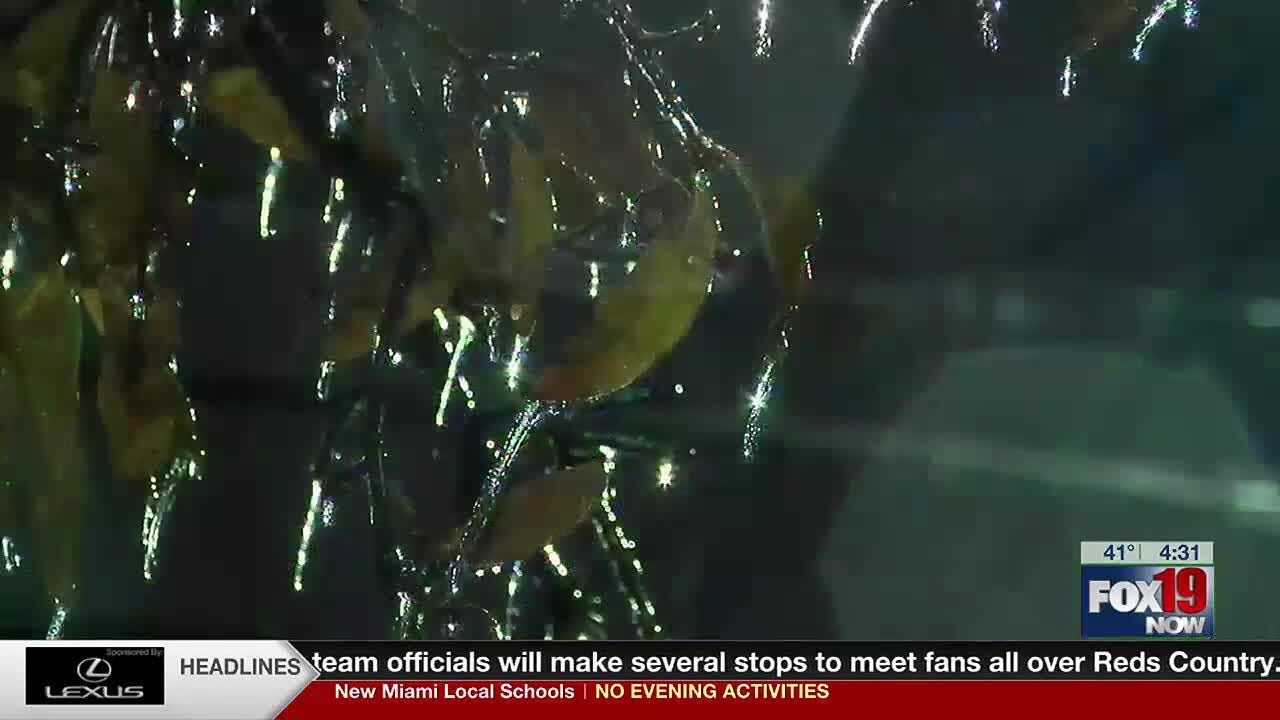 Freezing rain can cause icy roads, power outages - YouTube