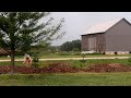 A RACE AGAINST WINTER 3 DAYS & MANY HOMESTEAD PROJECTS | CANNING, GARDENING, HARVESTING