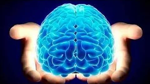 ¿Qué es lo que más afecta al cerebro?