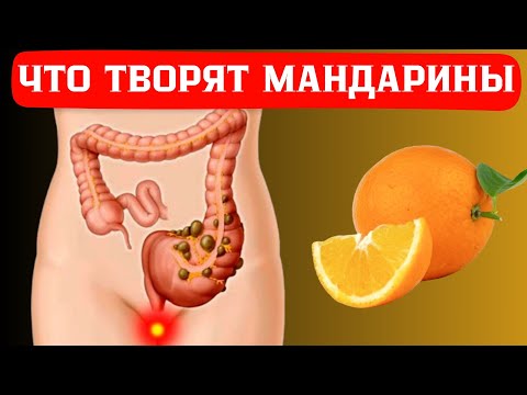 Даже один кусочек МАНДАРИН может вызвать необратимый процесс в организме