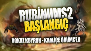 RUBİNUMS2 BAŞLANGIÇ / DOKUZ KUYRUK - KRALİÇE ÖRÜMCEK KESİMİ / RUBİNUMS2 #1