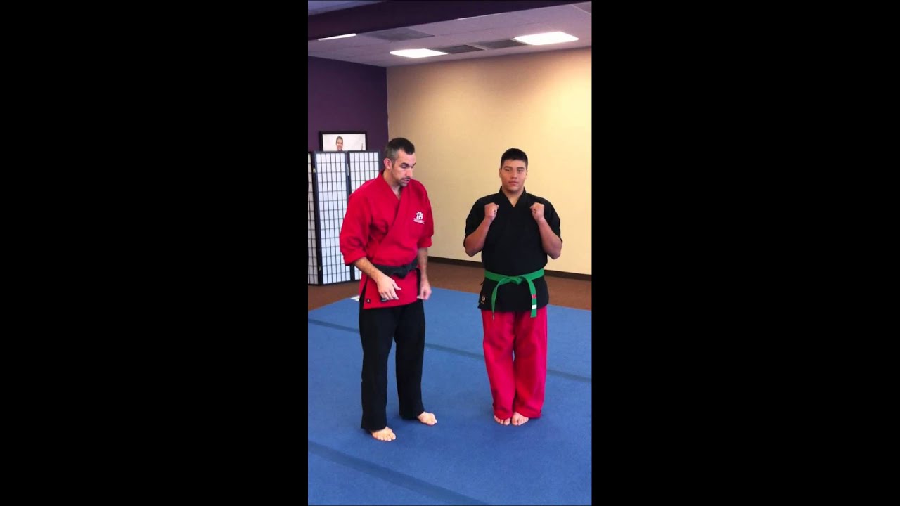 San Antonio Karate 4 Basic Stances.MOV YouTube
