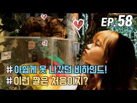 [WekiMeki 위키미키 모해?] EP58 Special List 1. 일본 코피 투어 비하인드 (ENG SUB)