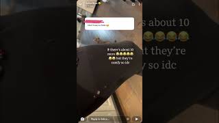 Salice Rose Snapchat Story 12/28 | Being Organized - OCD - and celebrities aging