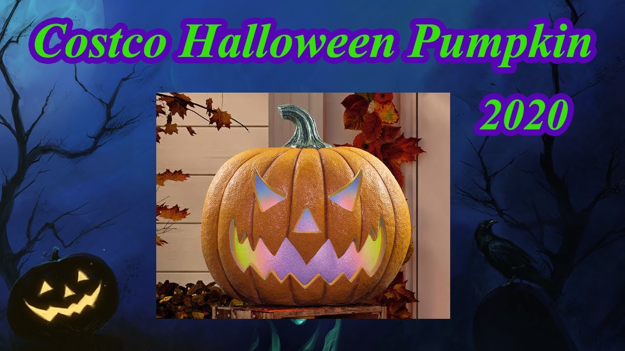 Costco Halloween Pumpkin 2020 YouTube