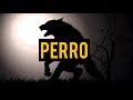 PERRO (HISTORIAS DE NAHUALES)