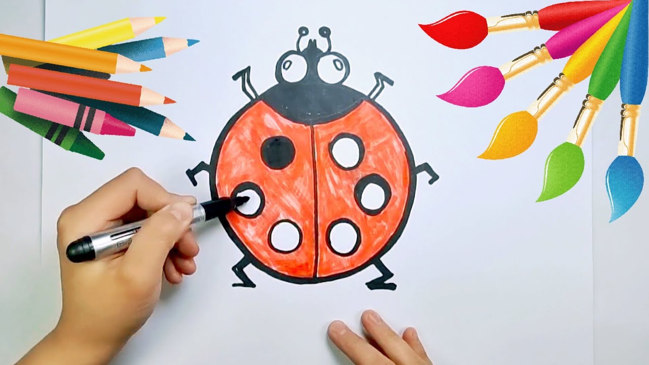 Learning to draw beautifully / Doctrina ad hauriendam pulchre