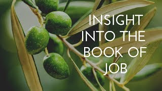 Insight into the book of Job