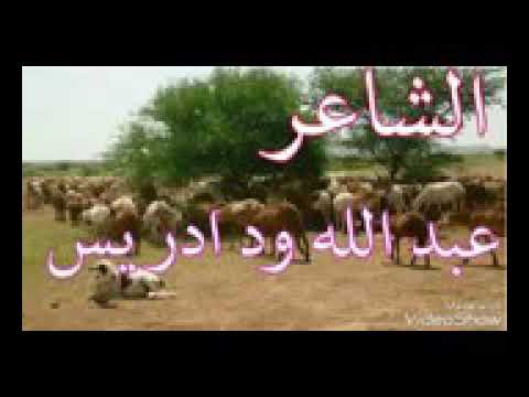 الشاعر عبد الله ود ادريس راعي الغنم والبعشوم 
