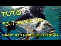 Chasse sous marine 100 de la surface tuto pche csm papicsm