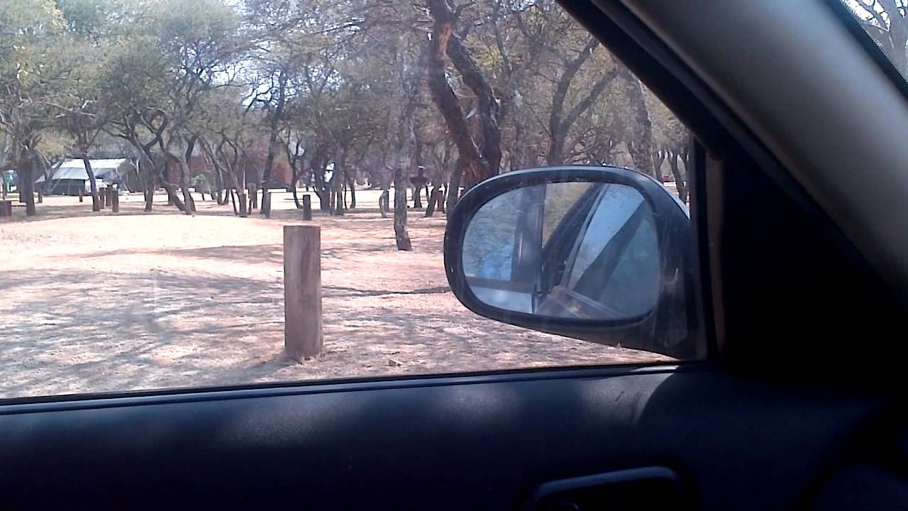 My car getting attacked by a wild animal in the Pilansberg National Park