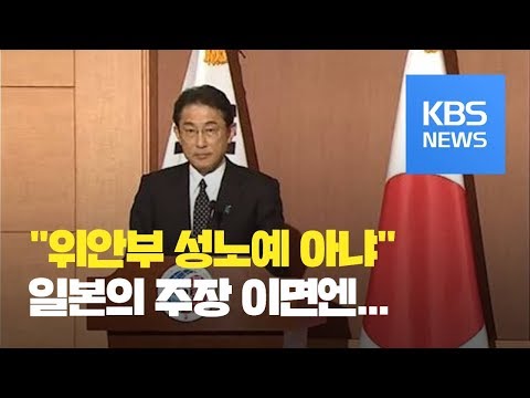 “위안부 <strong>성노예</strong> 아냐, 한국도 확인”…일본 외교청서 왜곡 / KBS뉴스(News)