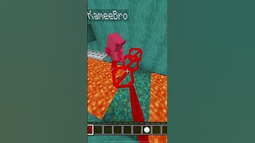 $1000 Minecraft Parkour Race