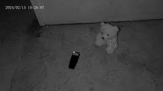 Jerry and REM Pod in the Cells 4