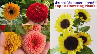 तेज धूप में लगाए Best 10 Summer Flowering Plants || Summer Seeds To Grow In March