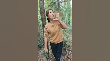 masteran burung viral kocak lucu bikin ngakak hiburan warga+62 viral vidio funny videos funny shorts