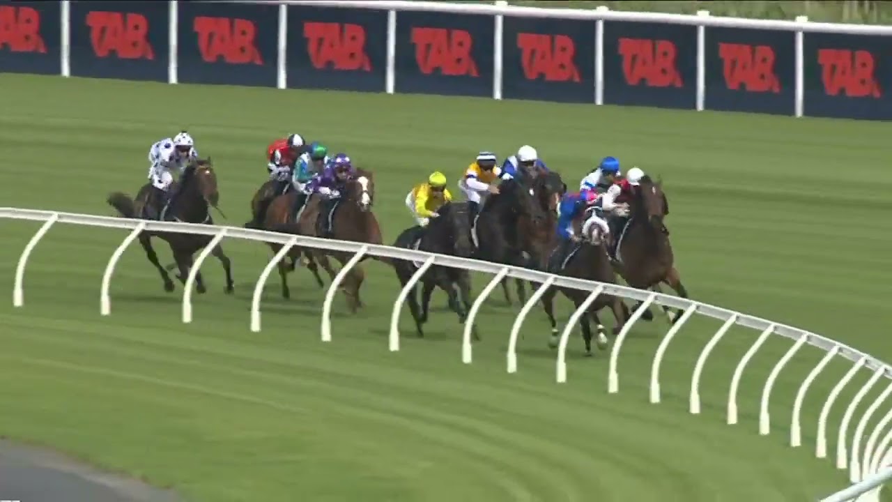 Challenge Stakes 2025 — Мэри Шан (3+ лет, SWP G3), Группа 3, Эллерсли, Новая Зеландия, 29 ноября