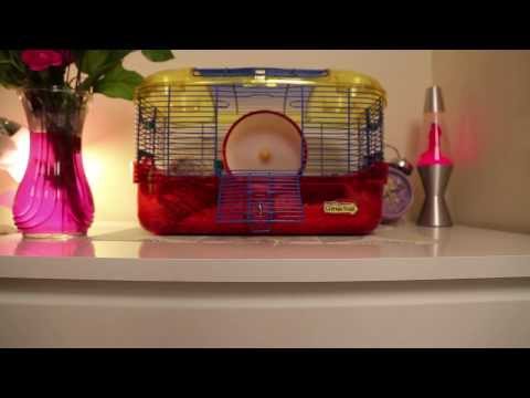 Hamster Power