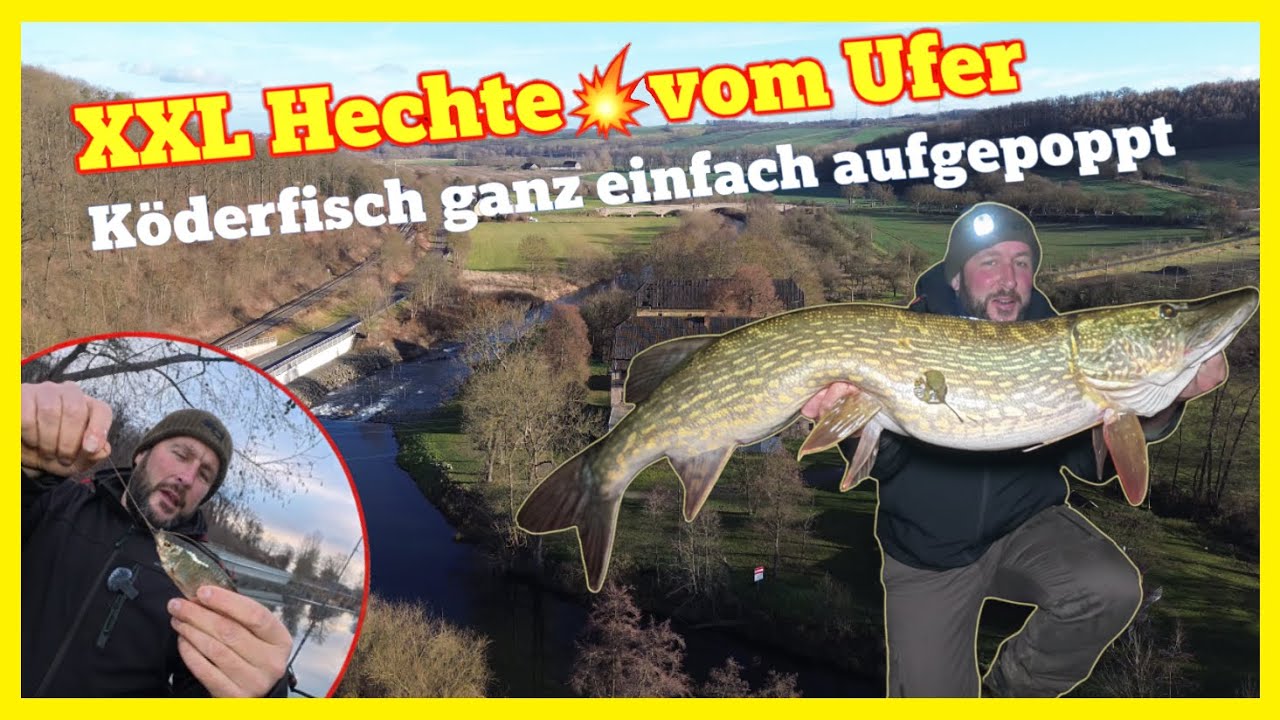 Winterangeln am Fluss großer Köderfisch bringt XXL Hecht🎣💥 vom Ufer 🎣 Köderfisch einfach aufgepoppt!