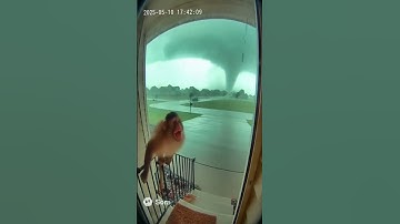 I feel sorry for bro😂😂 #sora #sora2 #viral #pov #monkey #monkeys #tornado #ai