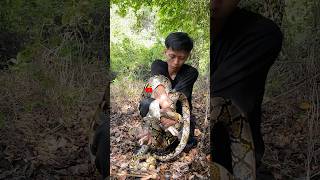 Full discussion on how to untangle a python! Very useful knowledge #viralvideo #snake