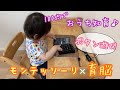 モンテッソーリ×育脳【手作り知育おもちゃ】０歳１歳２歳　ボタン押しあそび♪100均ですぐに簡単にできるおうち知育遊び！知育玩具・知育動画・手作りおもちゃ