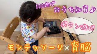 モンテッソーリ×育脳【手作り知育おもちゃ】０歳１歳２歳　ボタン押しあそび♪100均ですぐに簡単にできるおうち知育遊び！知育玩具・知育動画・手作りおもちゃ