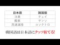 韓国語の単語は日本語にめっちゃ似てるっていう話 韓国語の単語は日本語にめっちゃ似てるっていう話