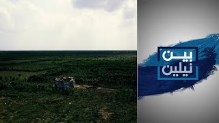 آراء مزارعين بمشروع طوكر الزراعي ومعاناتهم مع الحرب